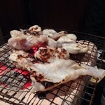 舞桜 - 河豚炭火焼