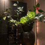 カーヴ - カウンター席にて※マスター作