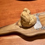 229313916 - 白トリュフ