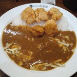 229329937 - フライドチキンカレーのチーズMIX