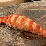 鮨桂太 - クルマエビ(//∇//)