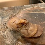 鮨桂太 - ハマグリ