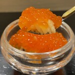 島津 - イクラ小丼