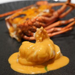 カンパーニュ - 