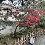 豊島鰻寮 一月庵 - ステキ