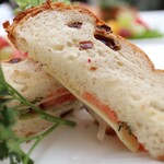 マッシモ・マリアーニ - 