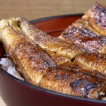unagikawayodo - 鰻丼の松