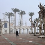 Kronox Cafe - 初日は霧の中