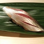 匠　達広 - 小肌。。