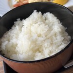 レストイン　デカンショ - 新米 篠山産こしひかり