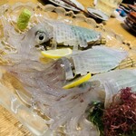 呼子活イカ 博多巻き串 燈 - 