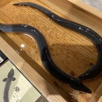 にょろ助 銀座 - 