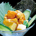 Sea urchin and seaweed