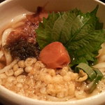 でんがな - はいからうどんに、梅干…