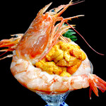 Sea urchin and shrimp