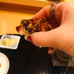 小松 弥助 - 煮ハマ