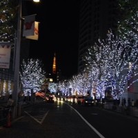 ケンゾーエステイトワイナリー 六本木ヒルズ店 - 