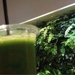 the 3rd Burger 青山骨董通り店 - 