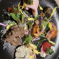 ダルマット 六本木ヒルズ店 - 