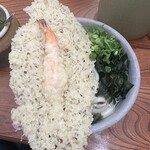 手打うどん 渡辺 - 