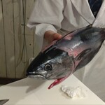 cafe＆bar津乃國屋 - 