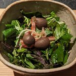 日本焼肉はせ川 別亭 - 零余子(むかご)と早採り野菜のサラダ(コース料理 師走)