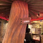 レインフォレストカフェ・トーキョー - 