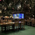 レインフォレストカフェ・トーキョー - 