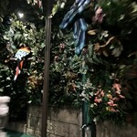 レインフォレストカフェ・トーキョー - 