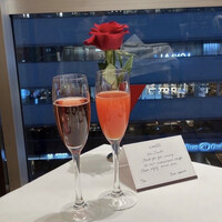 IL PINOLO 梅田 -  IL PINOLO 梅田 -