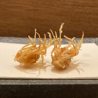 天 よこた - 海老 頭