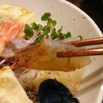 四季彩 鮨楽 - 真鯛
      