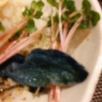 四季彩 鮨楽 - 赤首かいわれ、茄子
      
