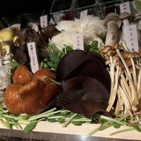 Shangri-La's secret ROPPONGI - 