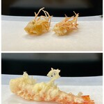 Tempura Tentsuyu - 活け 車海老のあご脚
                        カラリと揚がった衣の軽さが秀逸、少し身も付いてます♪
                        
                        活け 車海老1本目
                        中心は半生レアな火入れ、何も付けなくても車海老の甘みがあり美味しくいただけました♪