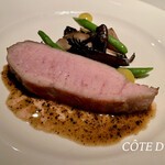 コート ドール - 