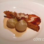 コート ドール - 