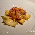 コート ドール - 