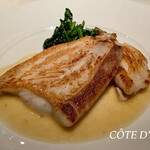 コート ドール - 