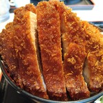 明治亭 - ソースカツ丼