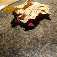 ききょう家 - 