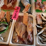 ゆうき食堂 - （2013年12月）隣の小坪漁港の鮮魚市場。相模湾とれたての魚が並びます。