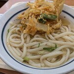 Tsurumaru Udon - 中細のうどんです