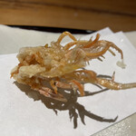 天満橋 藤かわ - 