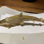 天満橋 藤かわ - 