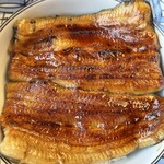 神田きくかわ 上野毛店 - 