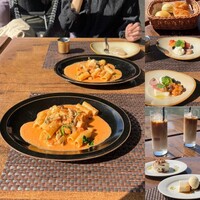 スミレオオサカ - 