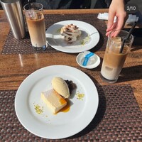 スミレオオサカ - 