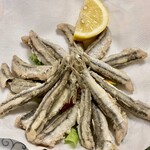 Ristorante Enoteca Migone - ワイフのアンティパストはアッチューゲのフリット