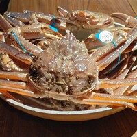 マキノンチ - 